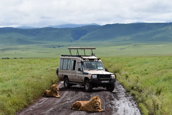 4days-camping-safari