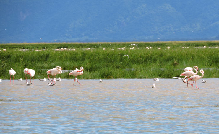 lake-manyara